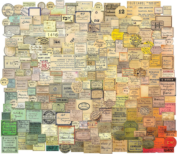 TIM HOLTZ - CURATOR - EPHEMERA PACK - SNIPPETS 233 PIECES (TINY) from 2021