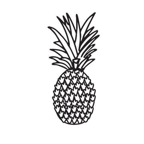 PINEAPPLE EMBOSSING FOLDER - A2  by DARICE -  NEW !!