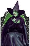WICKED WITCH of the WEST JOURNaL - Hard Cover !!  Wizard of Oz Collection from PaperHouse -  Rare !!