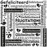 CONGRATULATIONS Multi-Languages  6x6 Embossing Folder - Nellie's Choice  - Nellie Snellen-  New and So Cute !